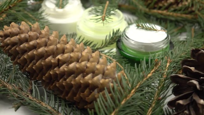 以松树产品为基础的化妆品制剂是在松树的细枝和松果上
