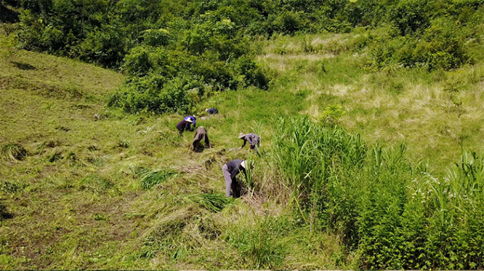 丘陵地带山上农田、菜园航拍 4k