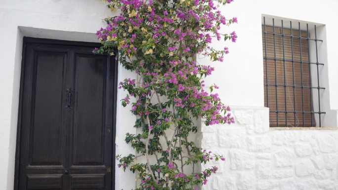 粉红色的花生长在西班牙村庄的漂亮房子里