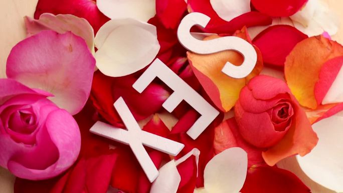 玫瑰花瓣和“SEX”字由木制字母组成，旋转成一圈。粉色的，白色的，红玫瑰的，转动的。