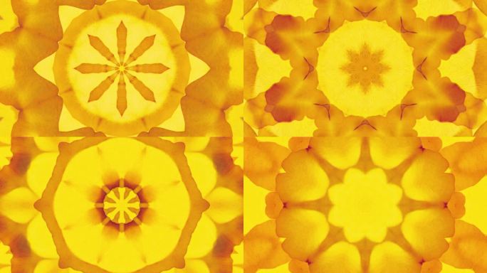 动感艺术花朵炫酷抽象艺术演出舞蹈背景5