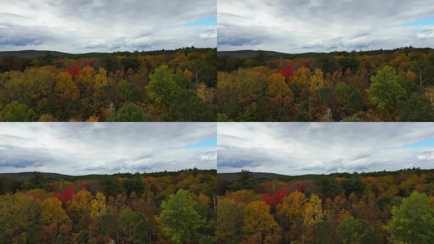 从空中俯瞰马萨诸塞州的秋季森林，生机勃勃的橘红色树木与雨水密布的云层和湛蓝的天空形成鲜明对比
