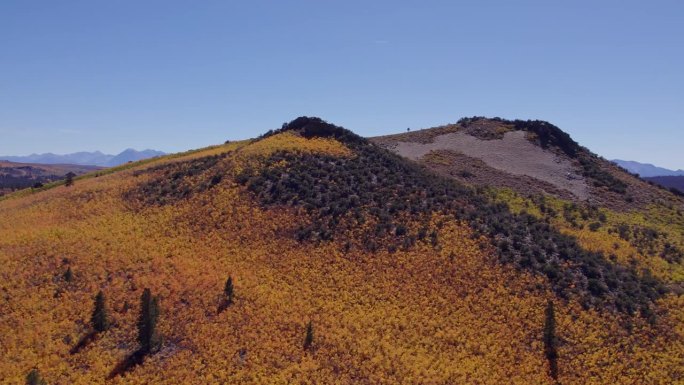 加利福尼亚州莫诺县Sage Hen峰会上的秋天色彩-空中无人机快速拍摄了东部塞拉利昂秋天树叶的轨道