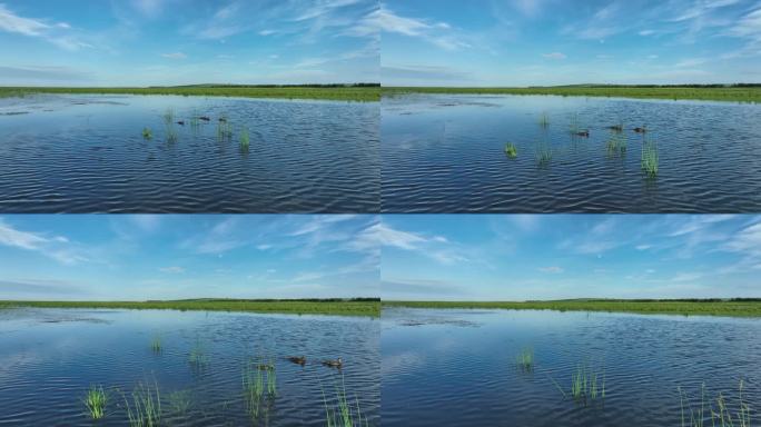 湿地湖泊生态保护