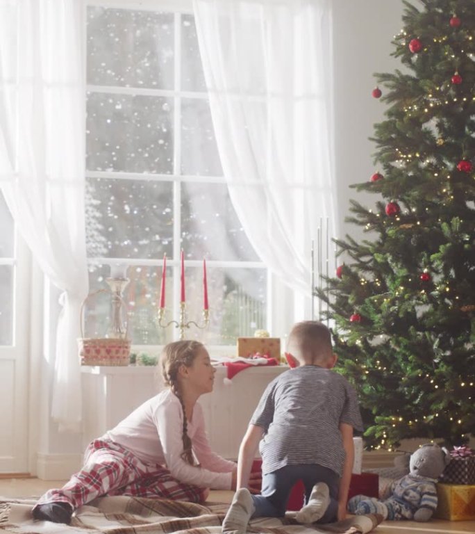 垂直屏幕:可爱的孩子们迫不及待地从家里的圣诞树下拿礼物。快乐的小男孩和小女孩在节日早晨醒来收到新玩具