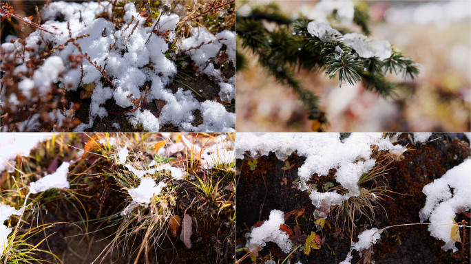 冬去春来 冰雪融化 雪融化