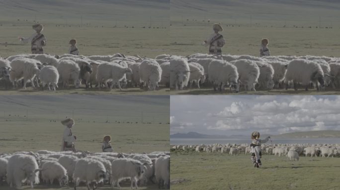 牧羊人放牧