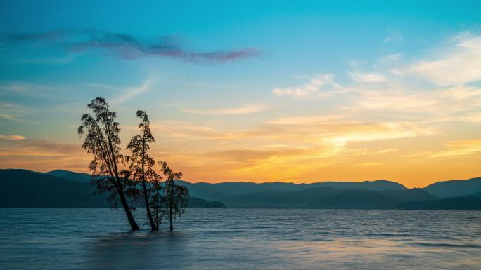 云南大理洱海湖面上的水杉与日出朝霞