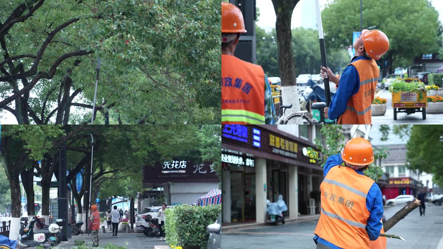 4K园林工人修整行道树