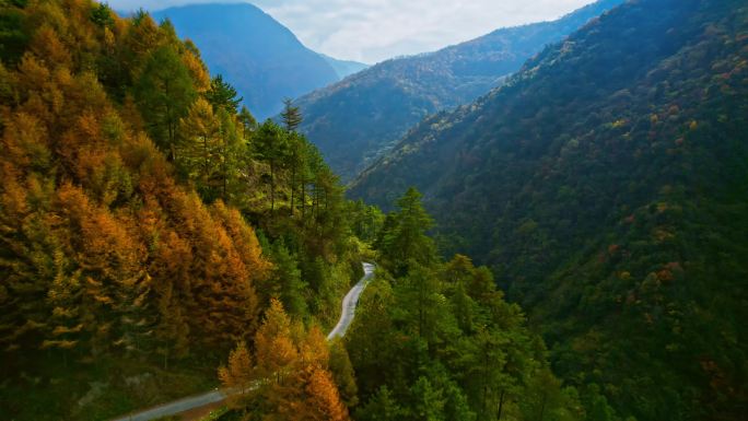 秋季山谷彩林和盘山公路