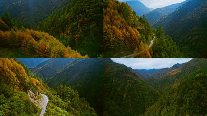 秋季山谷彩林和盘山公路