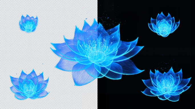 蓝色发光莲花开花旋转动态