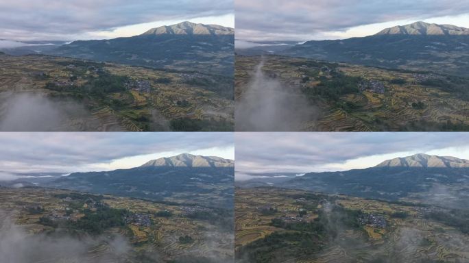 金色梯田上空水雾逐渐散去的延时视频