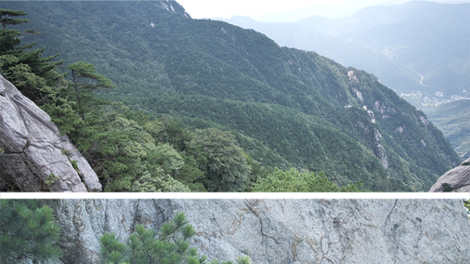 4k 大别山 黄山松 迎客松