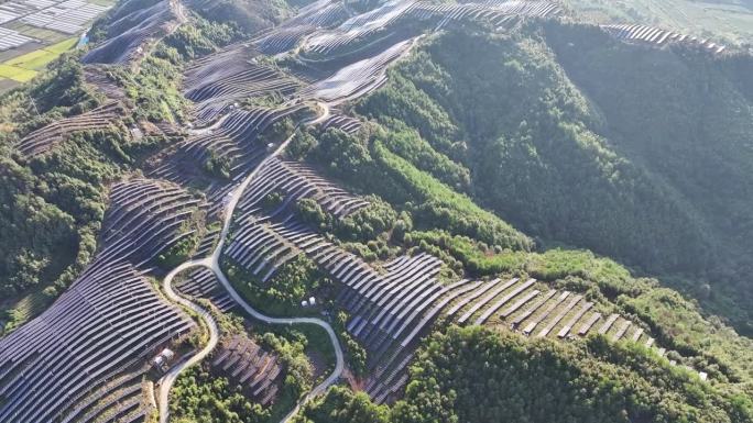 俯瞰山顶上树木繁茂的太阳能发电厂