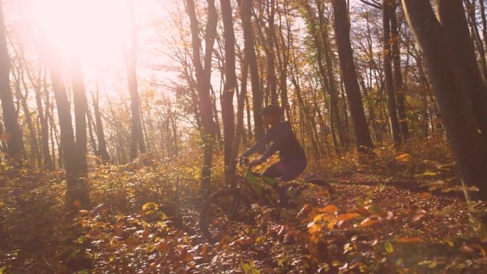 慢镜头，镜头光晕:在秋天的彩色树林中奔跑的狗和骑自行车的女人