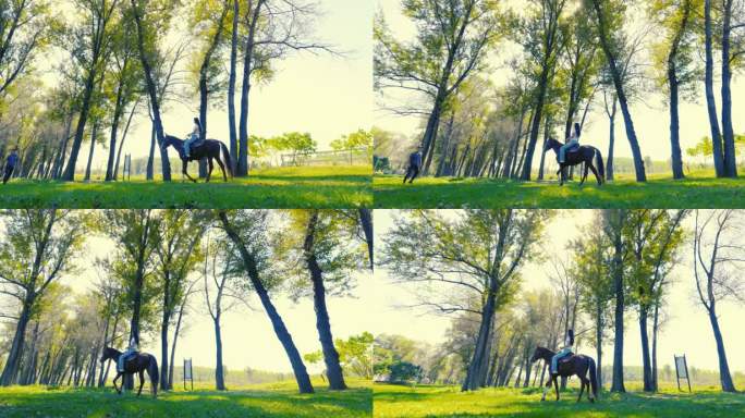 女孩在树林里骑马