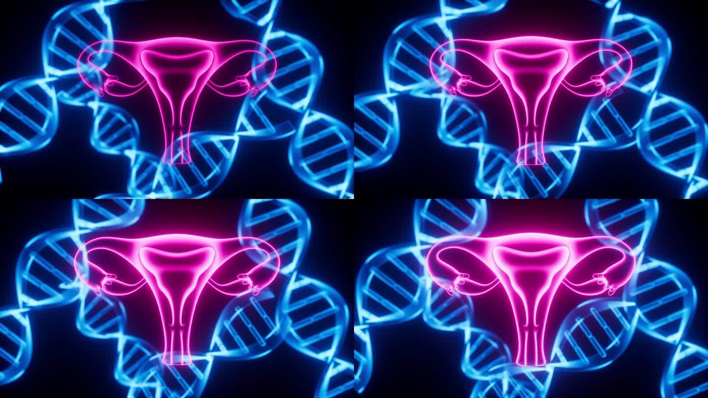 子宫与DNA 生物概念动画