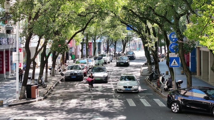 台州温岭老城区绿树成荫扫街