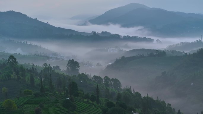 茶山云海航拍