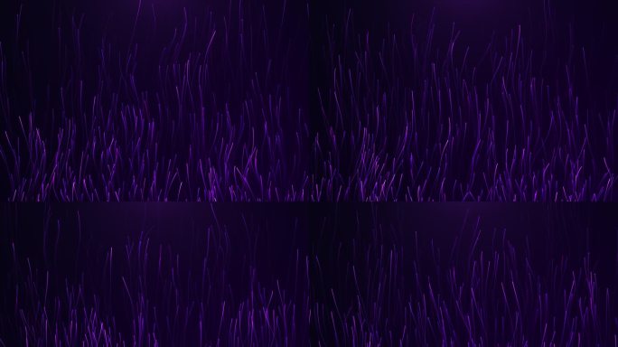 紫色线条上升（无缝循环）