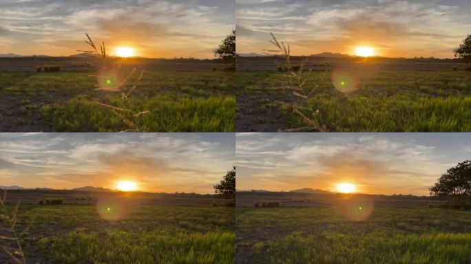 草地和农田的日落4K分辨率光晕太阳下山