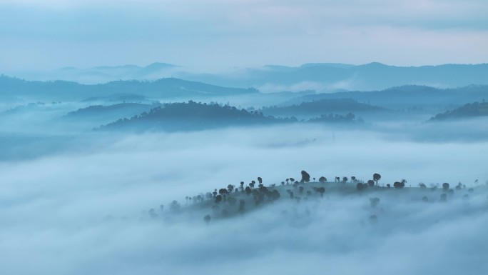 云雾中的茶山