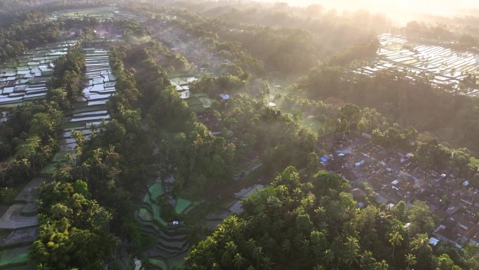 空中无人机拍摄的日出景象，位于印度尼西亚巴厘岛丛林中部的山地梯田。