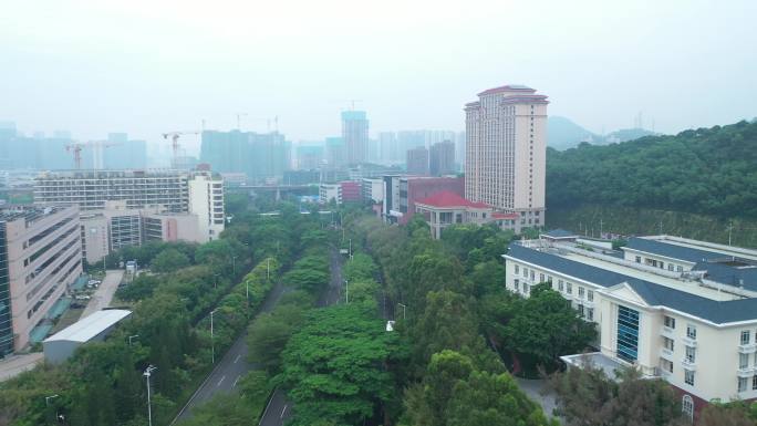 深职大 航拍 校园 大学 环境航拍