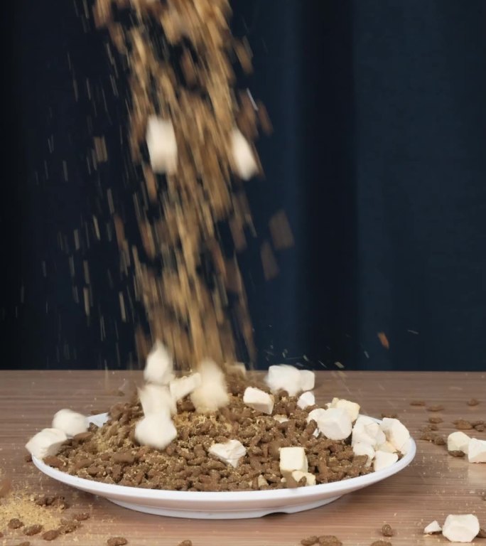 宠物猫粮狗粮倒进盘子升格慢动作画面