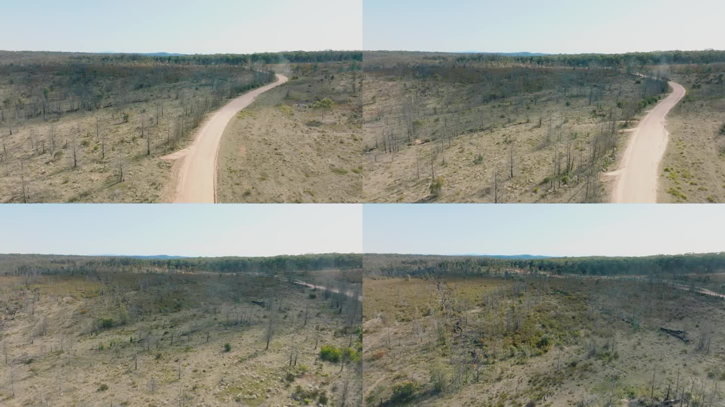从空中拍摄的蓝山严重丛林大火后重建的大片森林