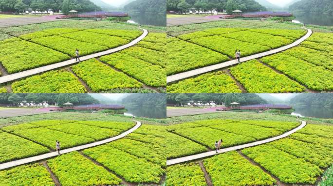 中国广州市从化区石门国家森林公园