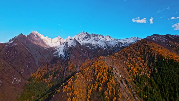 红岩石雪山彩林