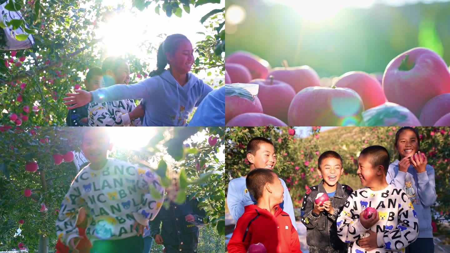 4k孩子苹果园玩耍笑脸
