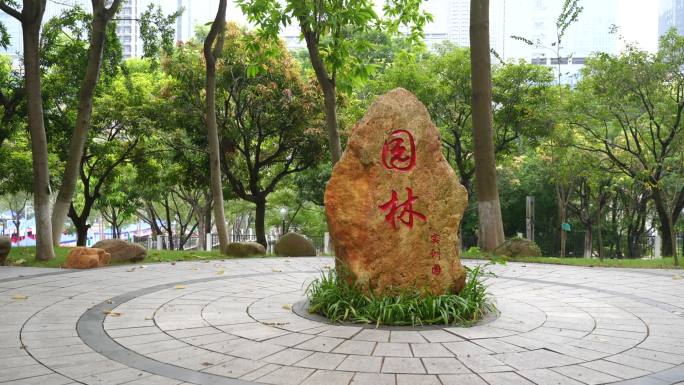 大学 校园环境 深圳 深职大 大学生学习