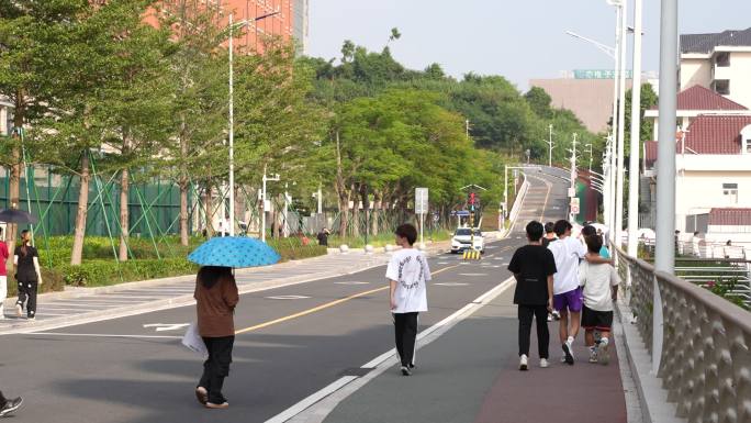 大学 大学生 校园环境 学校 校园 深职