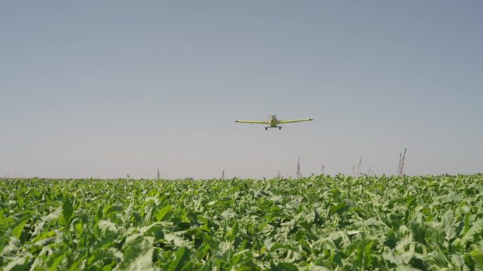 作物喷粉机飞机飞越郁郁葱葱的绿色农场与充分成长的作物