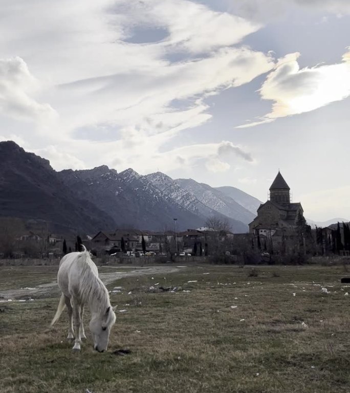 背景是一匹吃草的白马，背景是一座东正教修道院和白雪皑皑的山脉