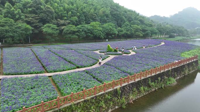 中国广州市从化区石门国家森林公园