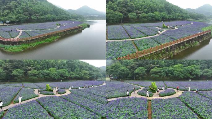 中国广州市从化区石门国家森林公园