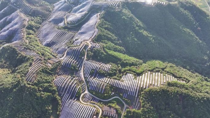 俯瞰山顶上树木繁茂的太阳能发电厂