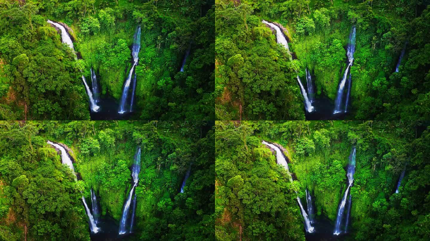 令人叹为观止的斐济瀑布在巴厘岛郁郁葱葱的绿色雨林山谷。