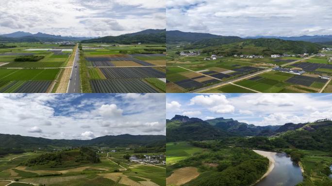 福建武夷山茶园延时合集 优质大红袍产区