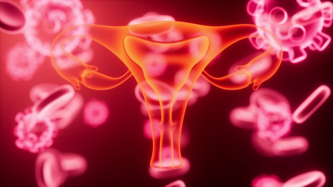 子宫与血细胞生物医疗概念动画