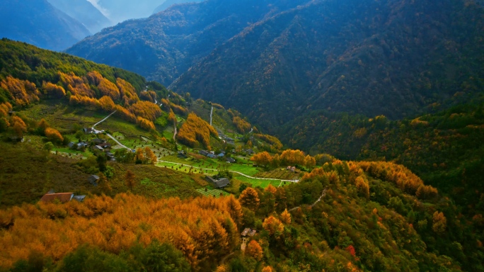 老鸦山风景的彩林和村庄