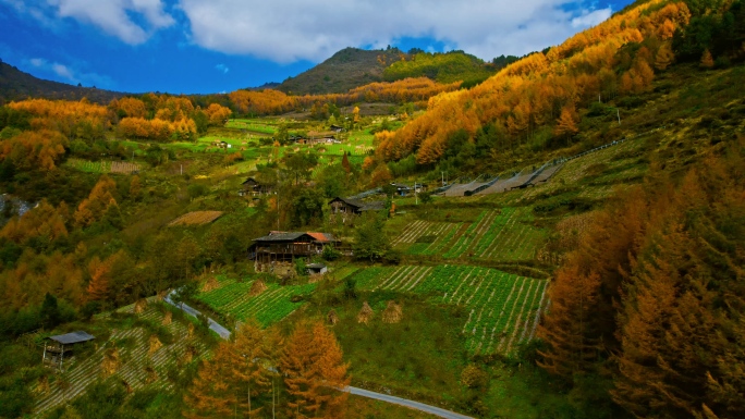 老鸦山风景的彩林和村庄