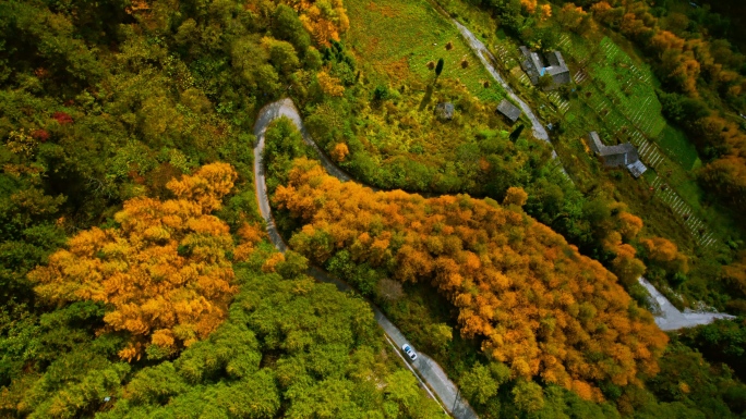 盘山公路小汽车