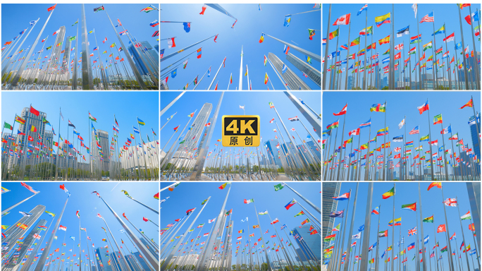 各国旗帜一路一带 国旗迎风飘扬国际合作