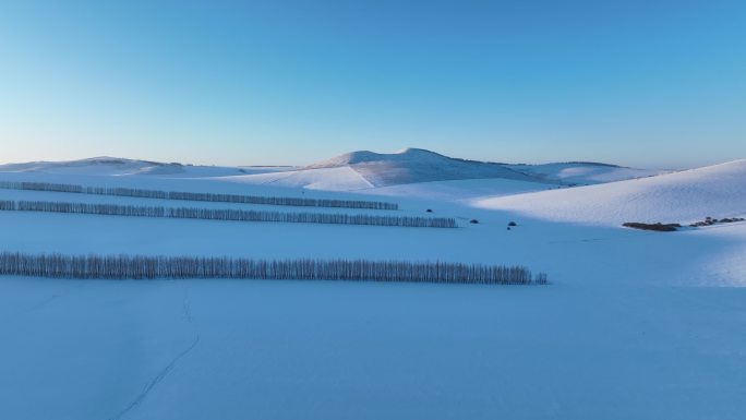 大兴安岭丘陵雪野风光