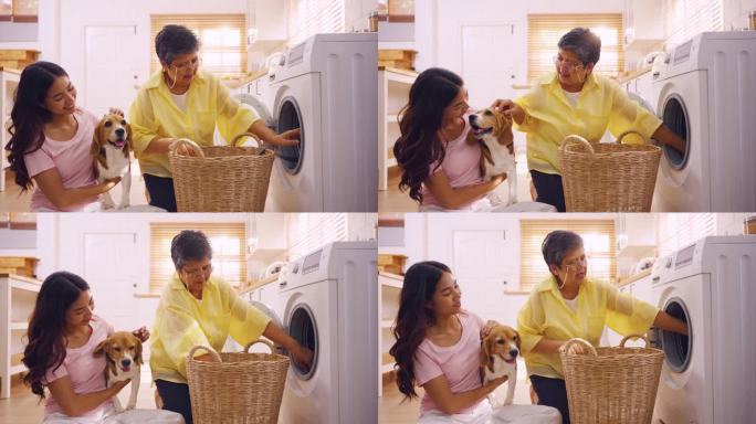 亚老母女带着她的小猎犬把脏衣服放进洗衣机。有吸引力的家庭在家里厨房的洗衣机电器里洗衣。家政概念。